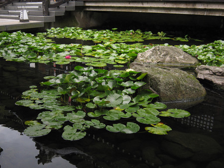 城崎温泉