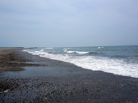 中田島砂丘
