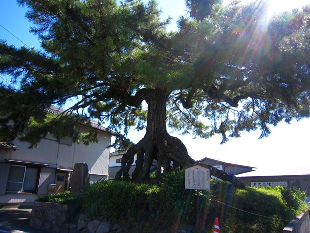 知立市