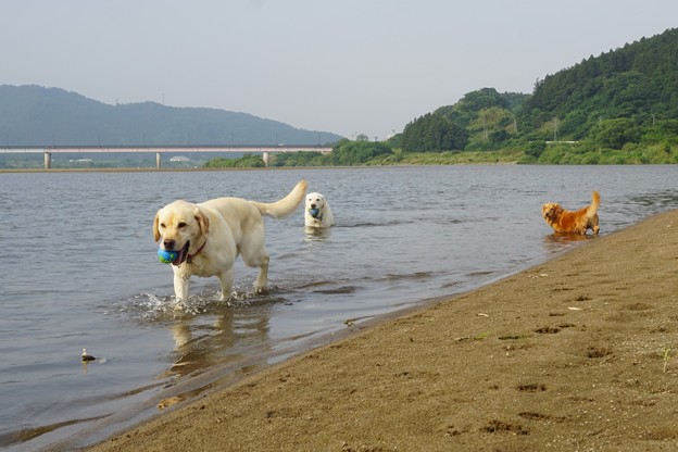 水遊び