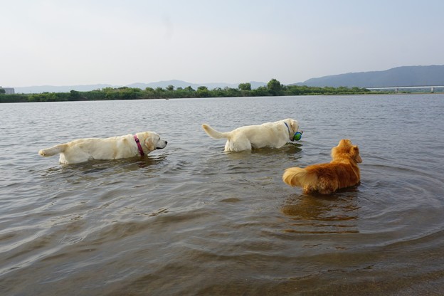 水遊び