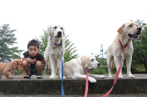 雨の日