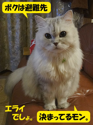 12020403