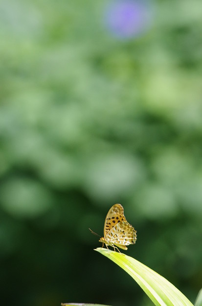 20150809p6