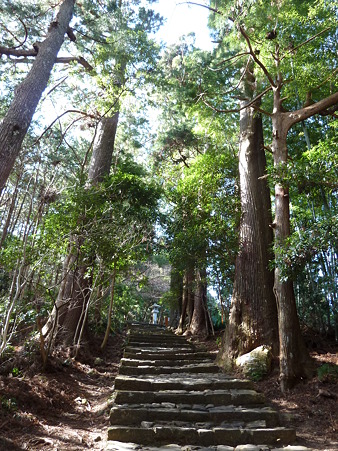 高野山～熊野三山 120