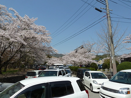 根来寺2011 028