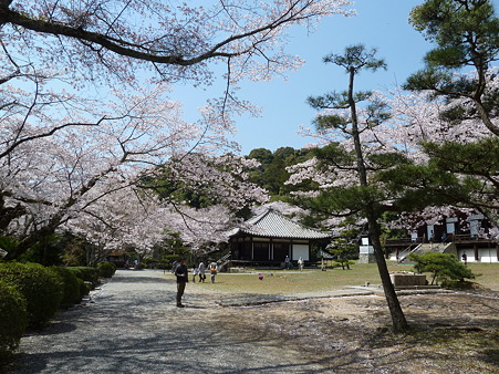 根来寺2011 010