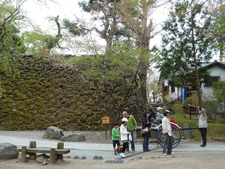 2011甲信 079