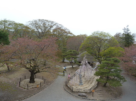 2011甲信 094