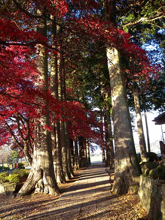 秋のお寺