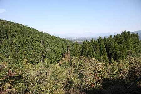 IMG_0424_1