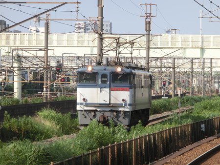 CIMG9384
