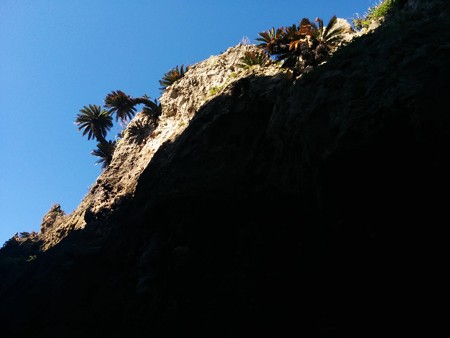 IMG_20150826_221355.jpg