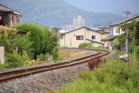 ホントはここで撮りたかった・・・。