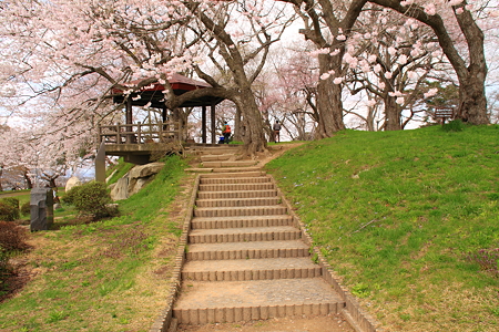 日本のさくら名所百選　烏帽子山公園