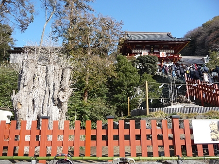 120104-八幡さま (11)