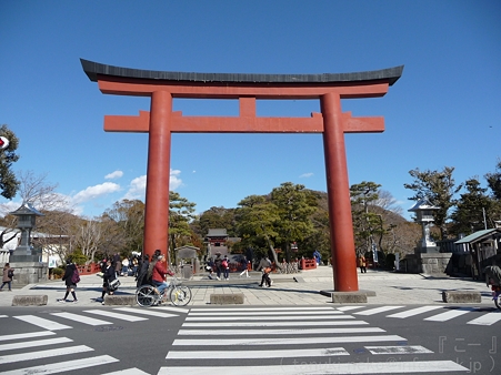 120209-八幡さま (1)