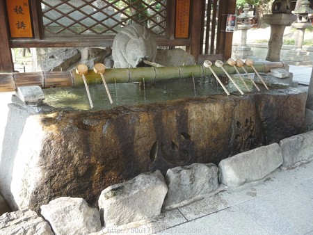 150615-住吉大社 (7)