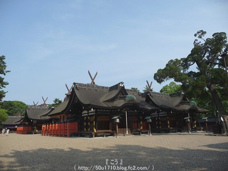 150615-住吉大社 (34)