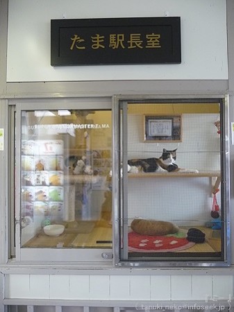09828 喜志駅 たま駅長 (3)