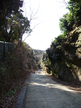 110225-亀が谷切通し (10)
