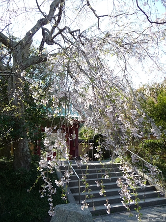 110406-光則寺 (4)