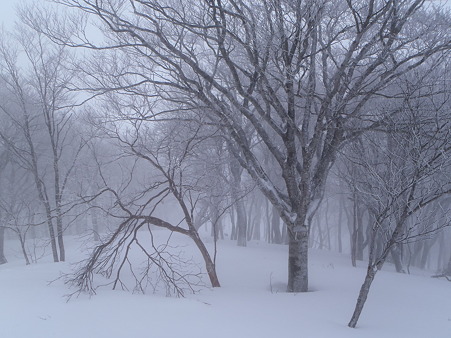 2012040101
