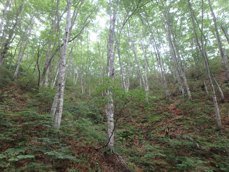 P7040064