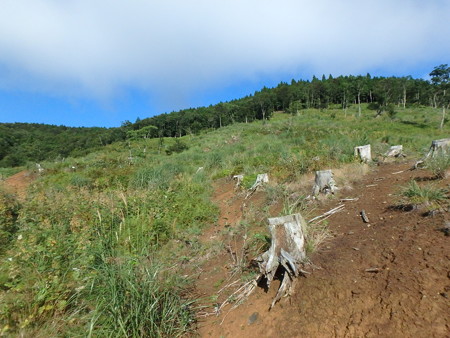 P8230014
