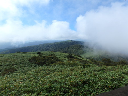 P9200020