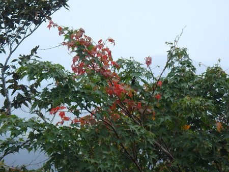 15092008