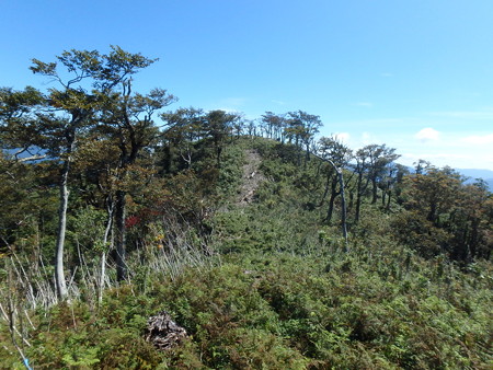 P9220096