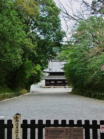 泉涌寺 仏殿