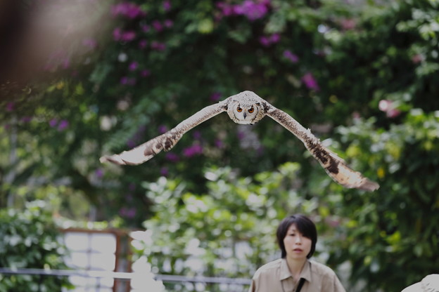 神戸どうぶつ王国06