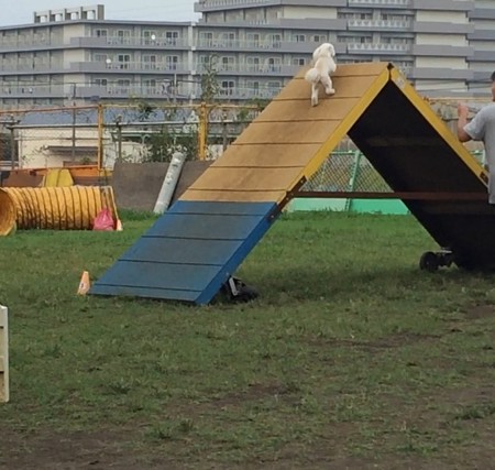 image1