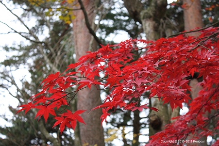 Blog_20111127_40DTesting_07