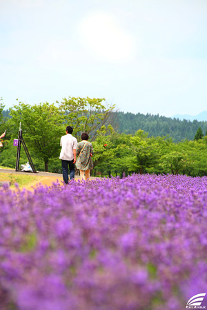Blog_20150704_007
