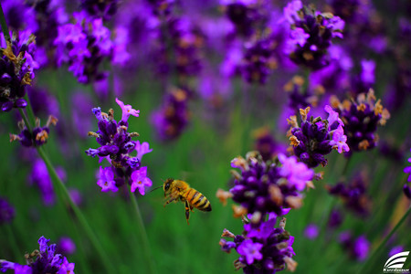 Blog_20150704_010
