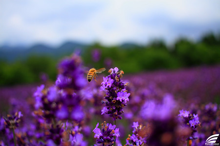 Blog_20150704_011