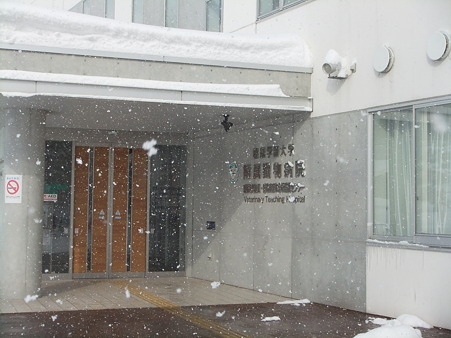 jan24 (10)