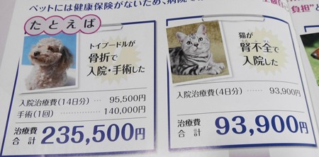 医療費一例 ・・・au損保パンフより