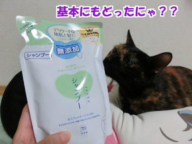 無添加シャンプー