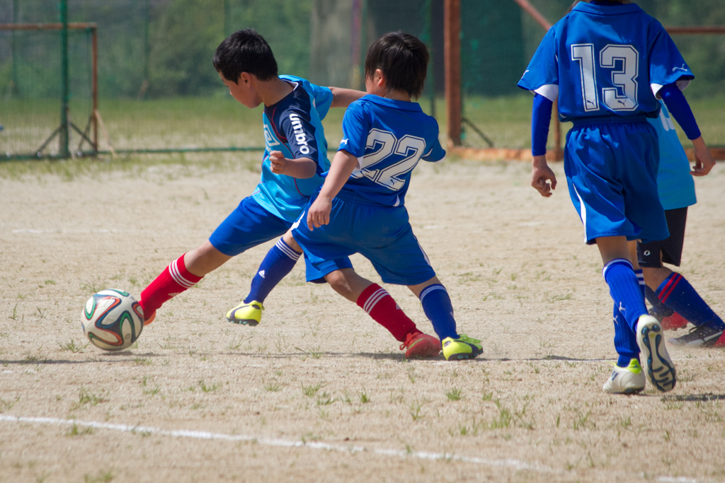 写真: IMG_7031