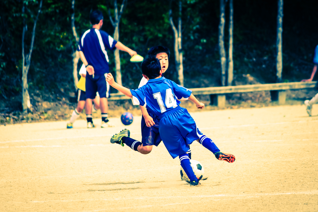 写真: IMG_1507