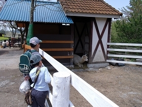 DSCF1841