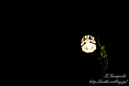 灯 NEX-5 SEL30M35