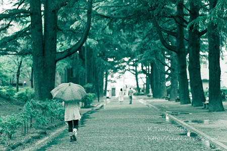 あがたの森公園 EOS7D EF50 F1.4