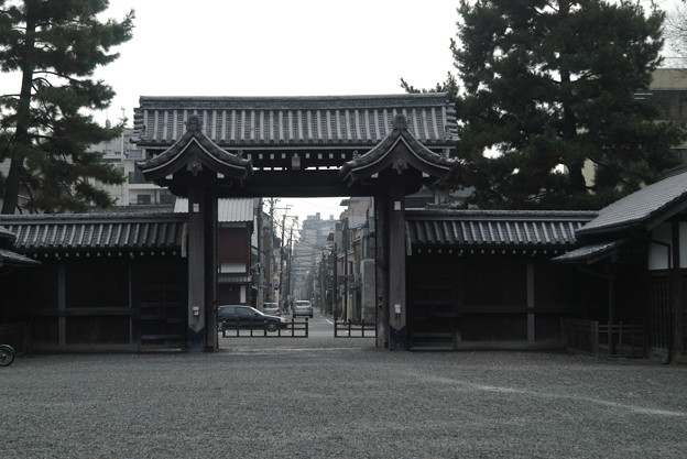 IMGP6546