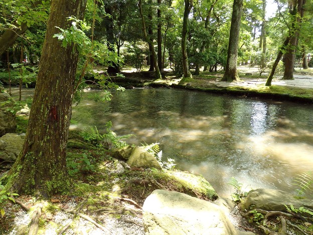 ならの小川