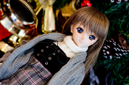 IMGP4530